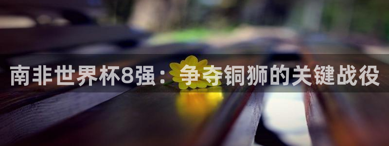 世界杯比赛直播：南非世界杯8强：争夺铜狮的关键战役