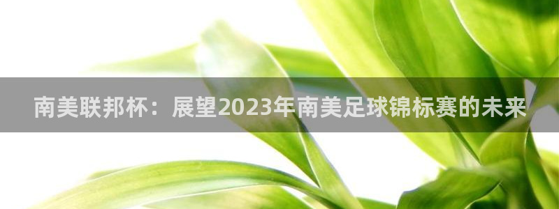 世界杯比赛：南美联邦杯：展望2023年南美足球锦标赛的未来