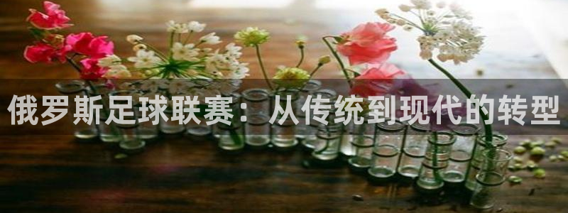世界杯直播：俄罗斯足球联赛：从传统到现代的转型