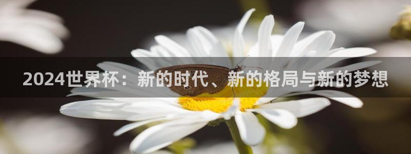 国际足联世界杯：2024世界杯：新的时代、新的格局与新的梦想