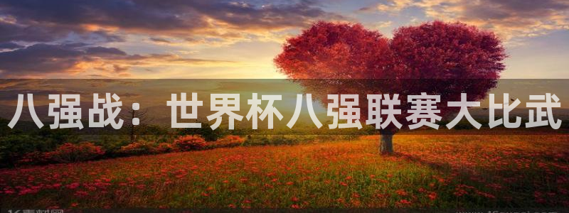 2026世界杯：八强战：世界杯八强联赛大比武