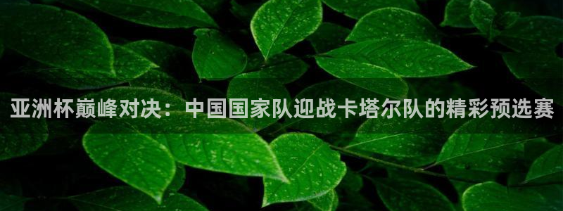世界杯决赛圈球队：亚洲杯巅峰对决：中国国家队迎战卡塔尔队的精彩预选赛