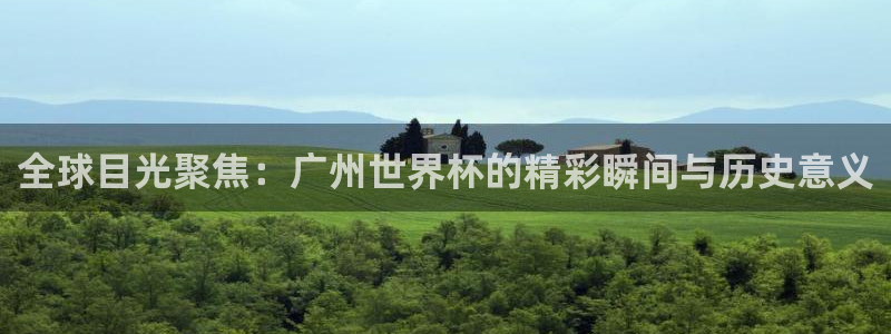 世界杯预赛赛程：全球目光聚焦：广州世界杯的精彩瞬间与历史意义