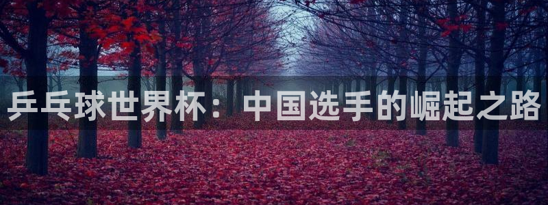 世界杯直播观看:乒乓球世界杯:中国选手的崛起之路