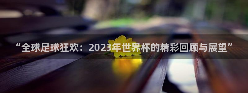 2026世界杯亚洲区预选赛赛程：“全球足球狂欢：2023年世界杯的精彩回顾与展望”